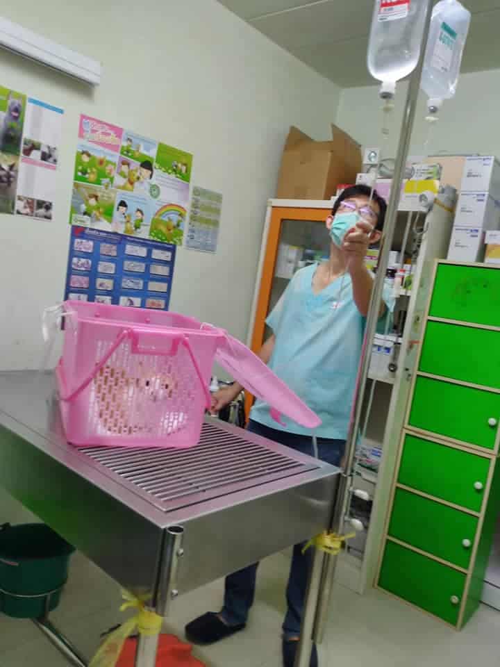 Friendship Vet (คลินิกมิตรภาพรักษาสัตว์) 9