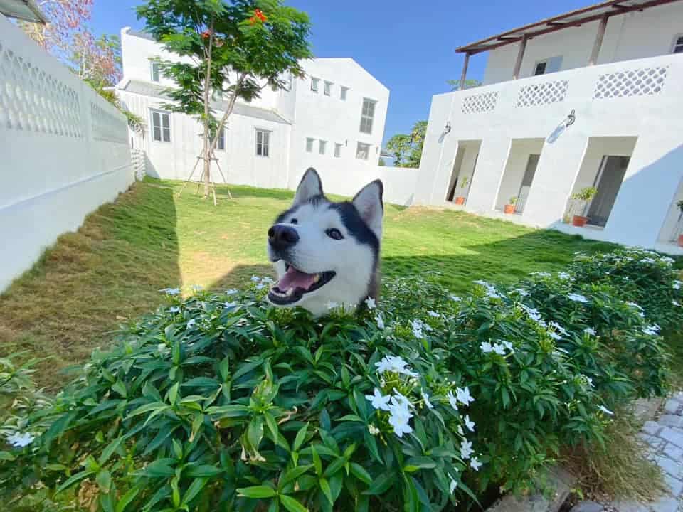 PawPlearn Animal Hospital (โรงพยาบาลสัตว์พอเพลิน) 5