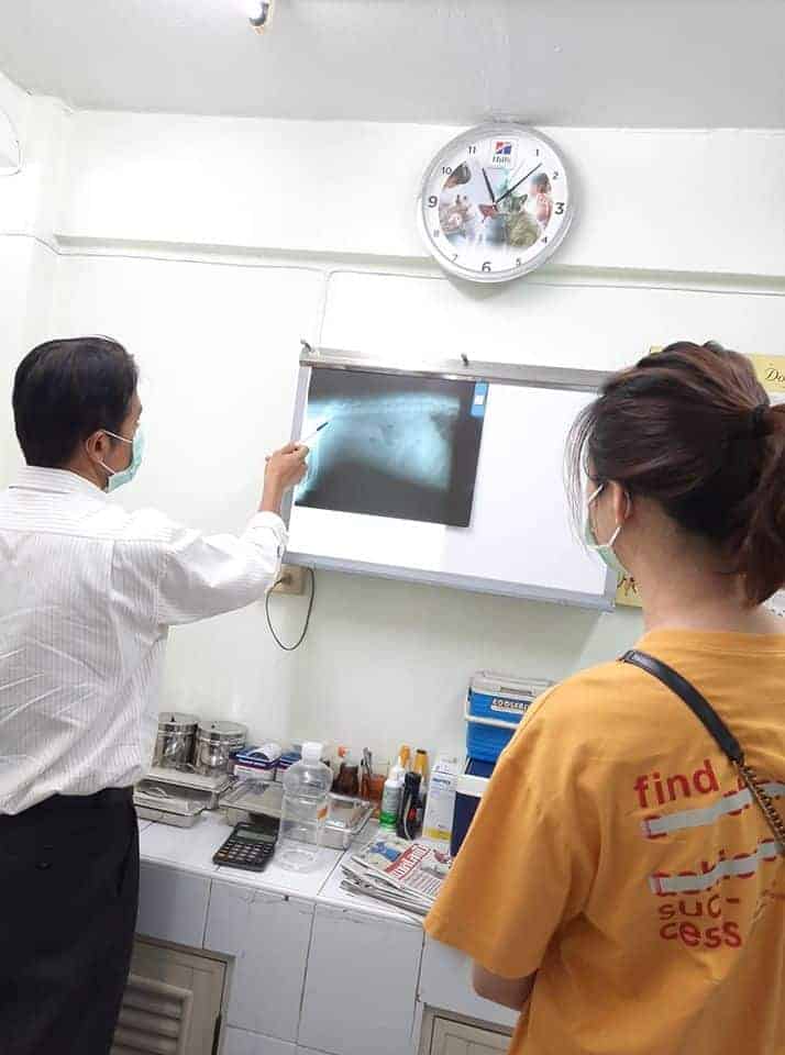 โรงพยาบาลสัตว์นครักษ์ 5