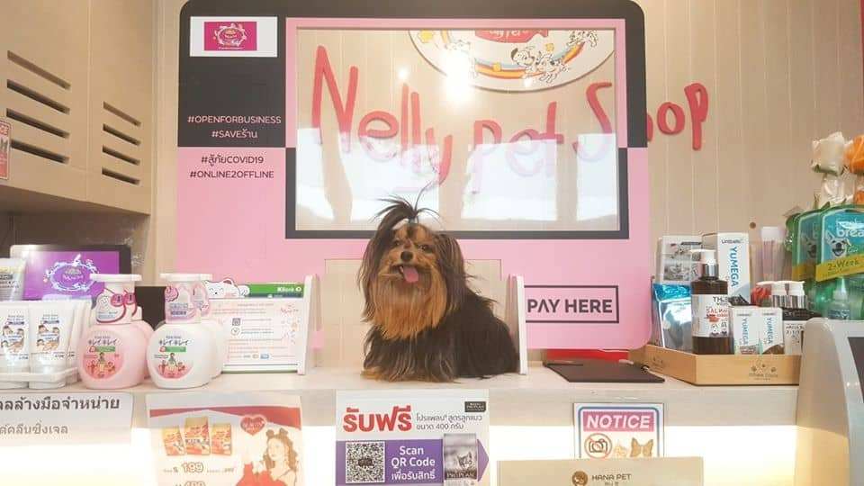 Nelly Pet Shop (แจ้งวัฒนะ) 7