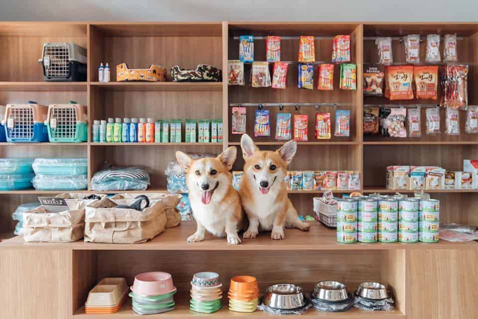 โรงพยาบาลสัตว์บางกอกฮาร์ท Bangkok Heart Animal Hospital 9