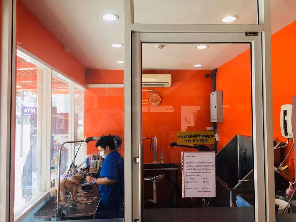 Little Spider & Friends Petshop & Grooming (มหิดลศาลายา ประตู 6) 3
