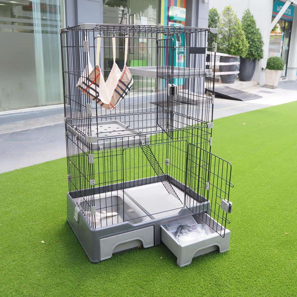 Tomjerrypetshop (ราชพฤกษ์) 4