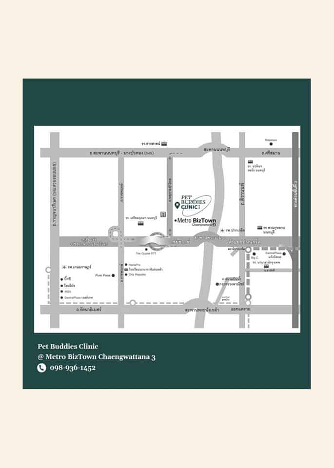 Pet Buddies Clinic (คลินิกเพ็ทบัดดี้รักษาสัตว์) 9