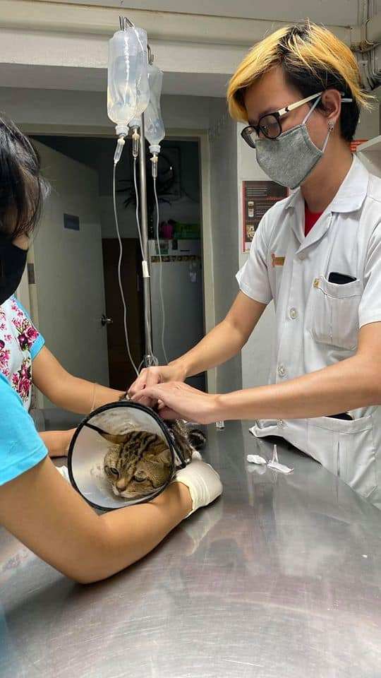 โรงพยาบาลสัตว์มิตรสัมพันธ์ (สาย2) 5