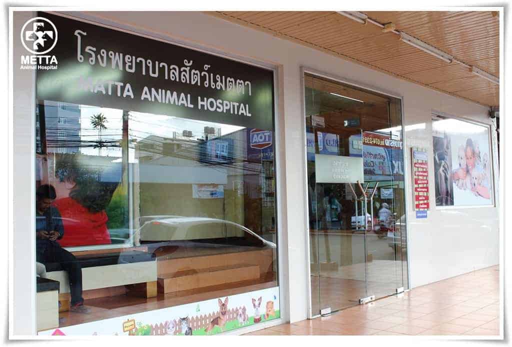โรงพยาบาลสัตว์เมตตาหาดใหญ่ (ศุภสารรังสรรค์) 3