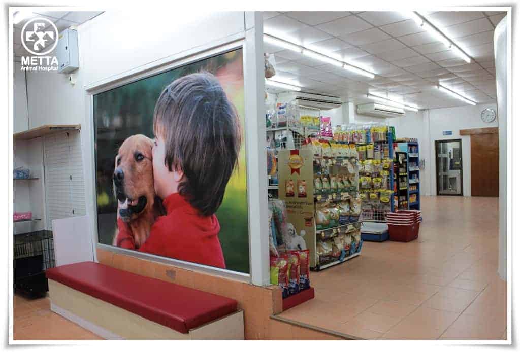 โรงพยาบาลสัตว์เมตตาหาดใหญ่ (ศุภสารรังสรรค์) 5