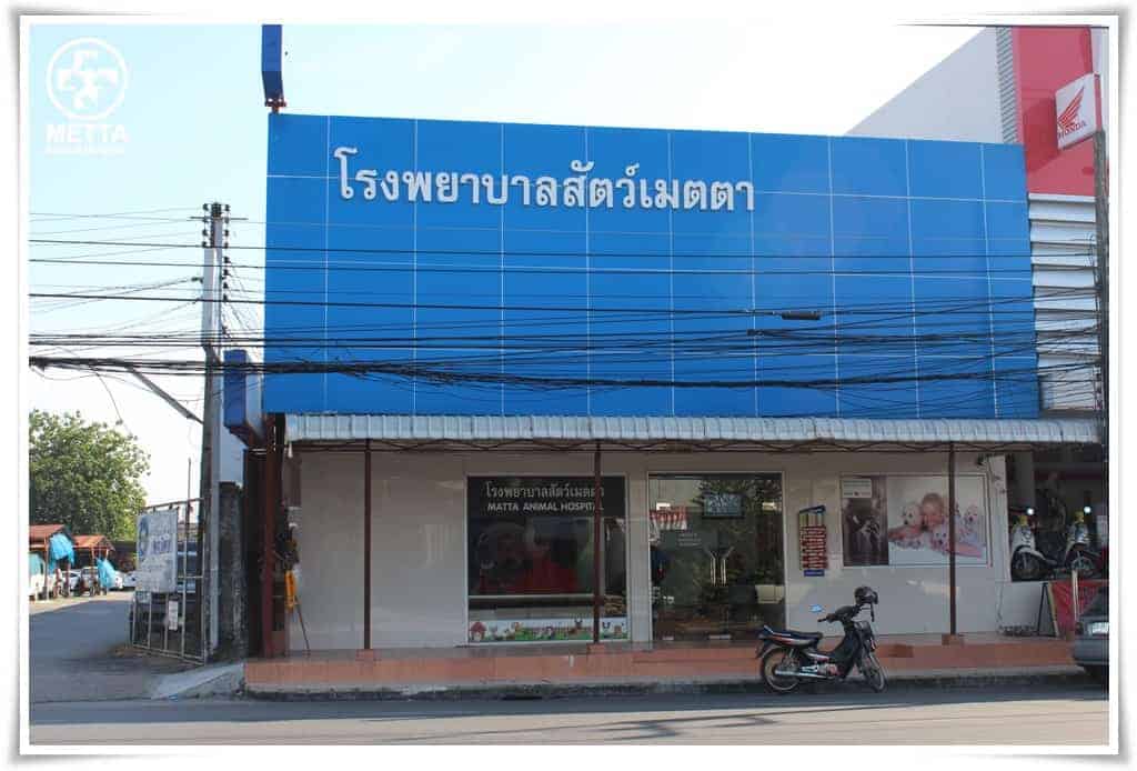 โรงพยาบาลสัตว์เมตตาหาดใหญ่ (ศุภสารรังสรรค์) 6