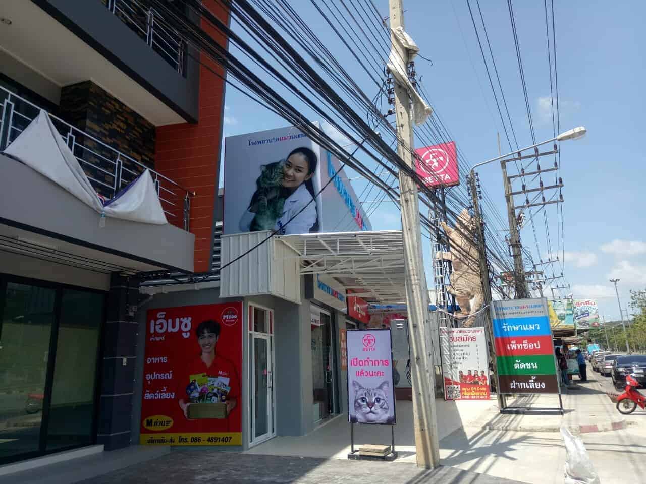 โรงพยาบาลแมวเมตตา (หาดใหญ่) 8