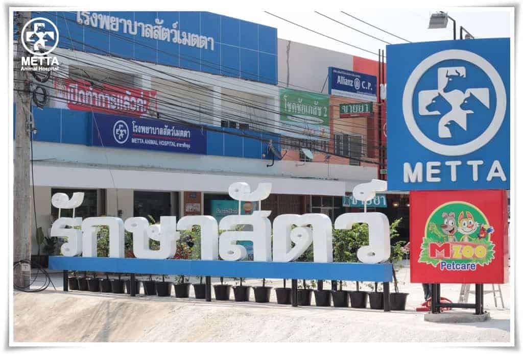 โรงพยาบาลสัตว์เมตตา (พัทลุง) 1