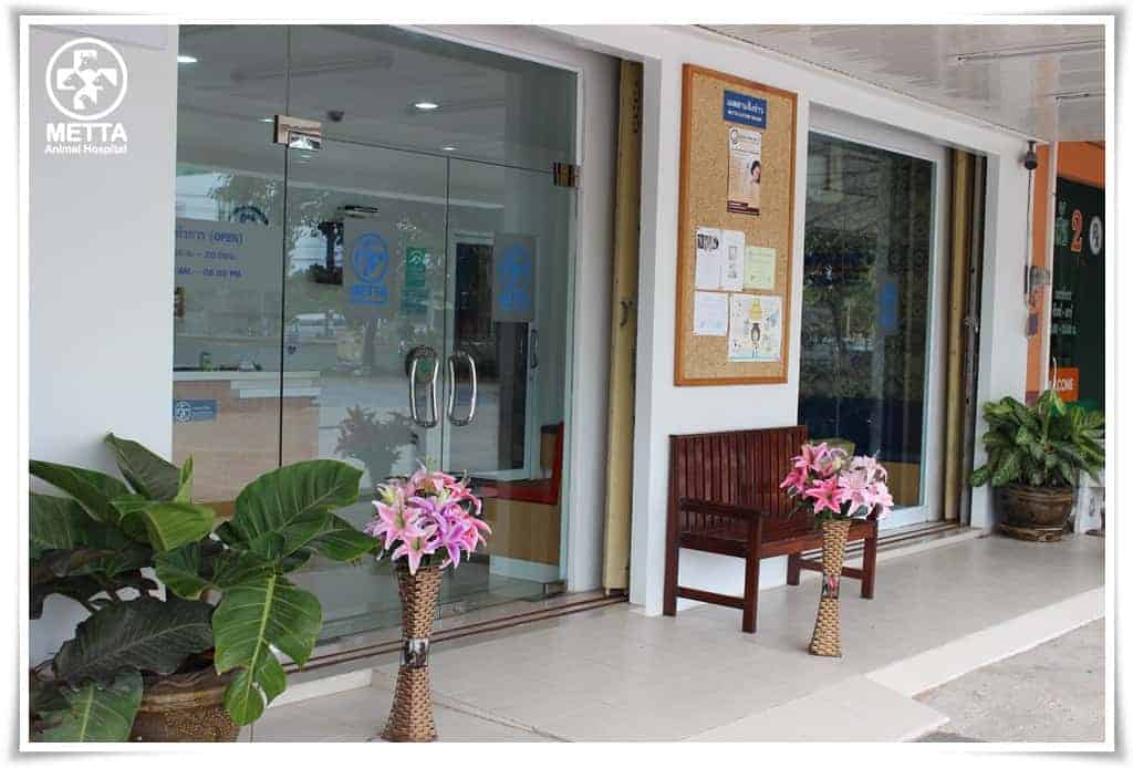โรงพยาบาลสัตว์เมตตา (พัทลุง) 2