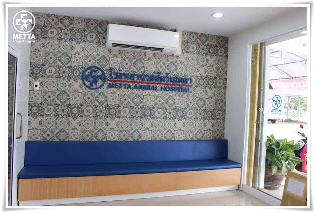 โรงพยาบาลสัตว์เมตตา (พัทลุง) 5