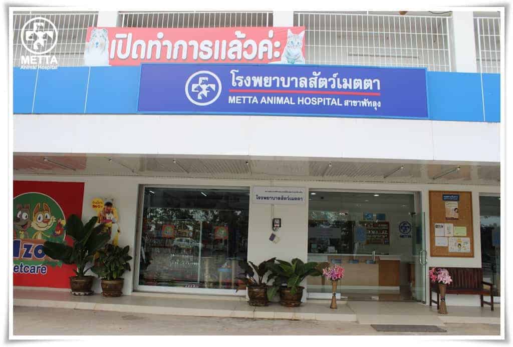 โรงพยาบาลสัตว์เมตตา (พัทลุง) 6