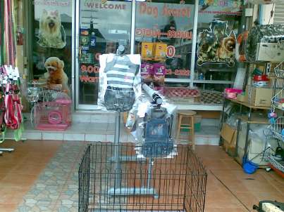 Dog Secret (พัทยา) 3