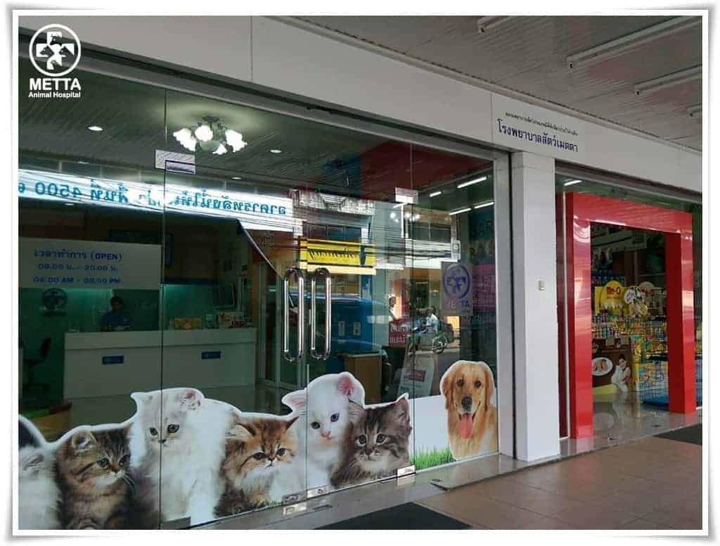 โรงพยาบาลสัตว์เมตตา (สุราษฏร์ธานี) 2