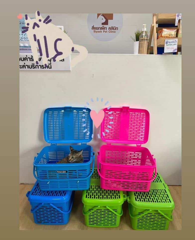 Siyaek pet clinic (สี่แยก เพ็ทคลินิก) 5