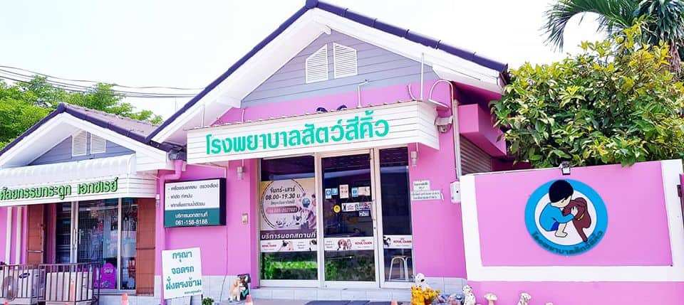 โรงพยาบาลสัตว์สีคิ้ว (นครราชสีมา) 5