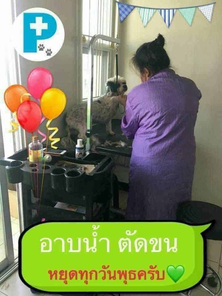 Ploy Vet (โรงพยาบาลสัตว์หมอพลอย ม.ฉัตรไพลิน) 5