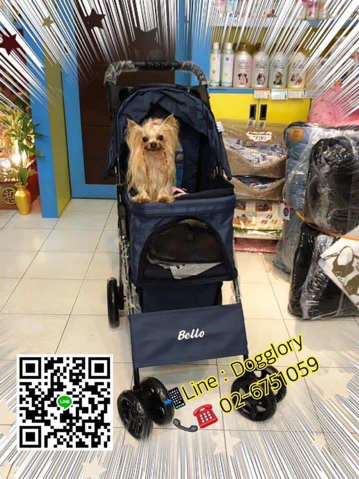 DogGlory Pet Shop & Grooming Center (ถนนจันทร์) 4