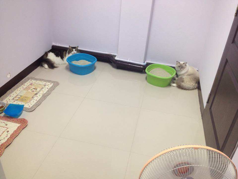 โรงพยาบาลสัตว์เบสท์แคร์ 5