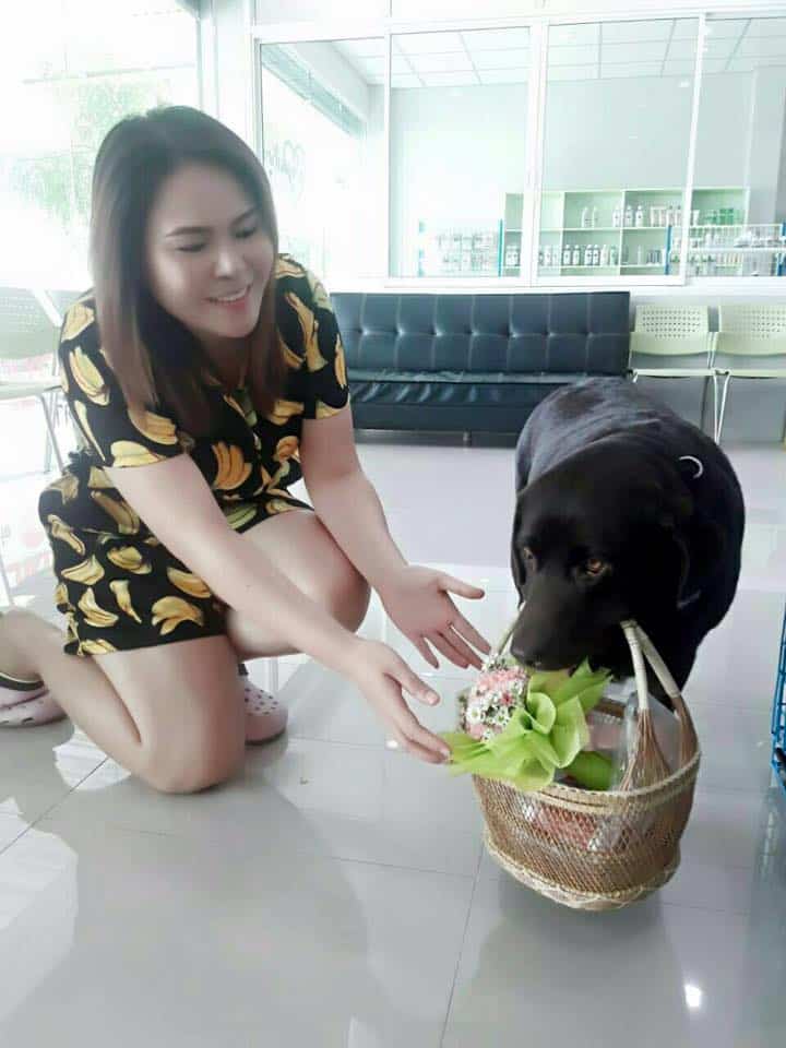 โรงพยาบาลสัตว์หมอรักสัตว์ (สมุทรสงคราม) 2
