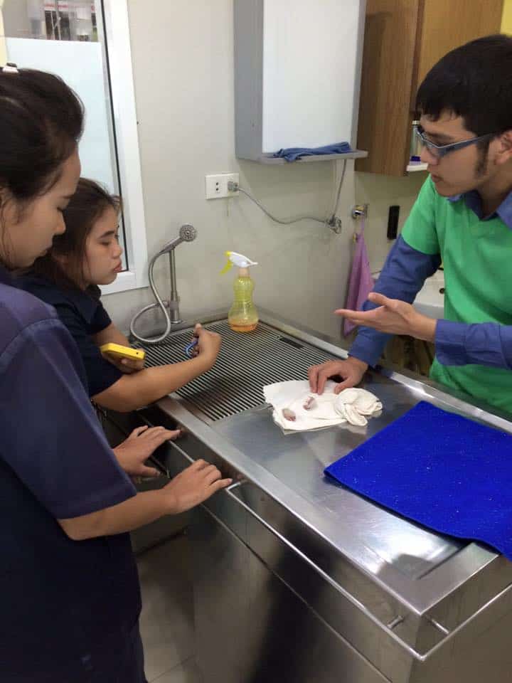 โรงพยาบาลสัตว์หมอรักสัตว์ (สมุทรสงคราม) 3