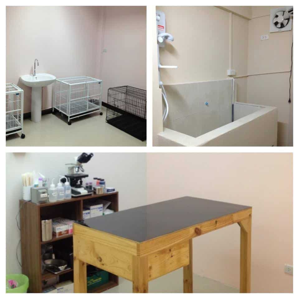 โรงพยาบาลสัตว์เบสท์แคร์ 4