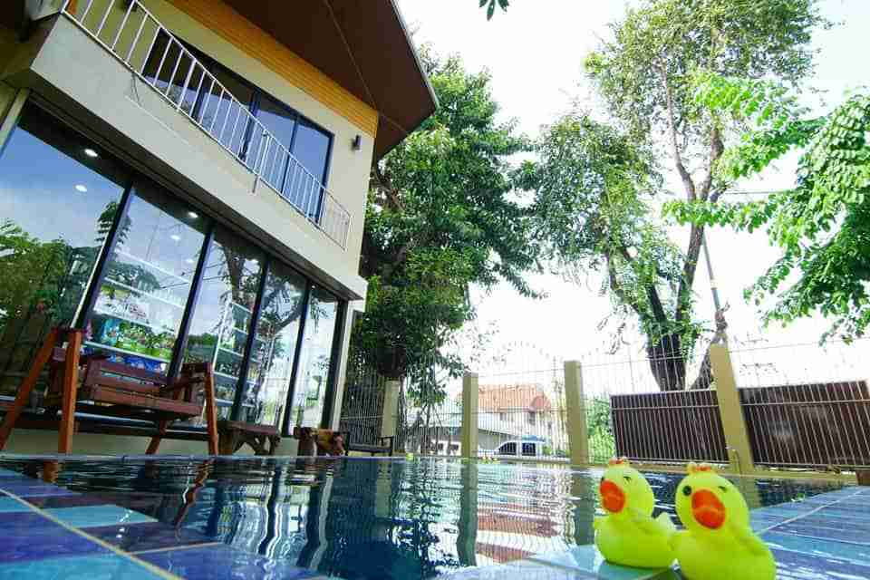 โรงพยาบาลสัตว์เมืองเพ็ชร (เพชรบุรี) 5