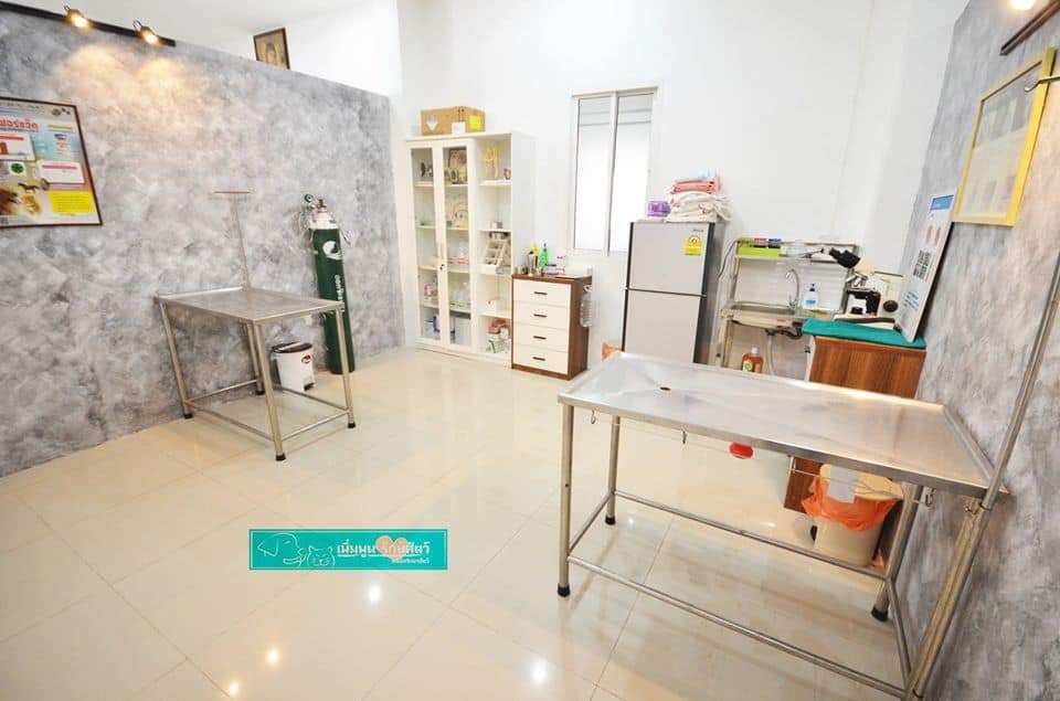Prempoon Pet Hoapital (โรงพยาบาลสัตว์เพิ่มพูนรักษาสัตว์) 2