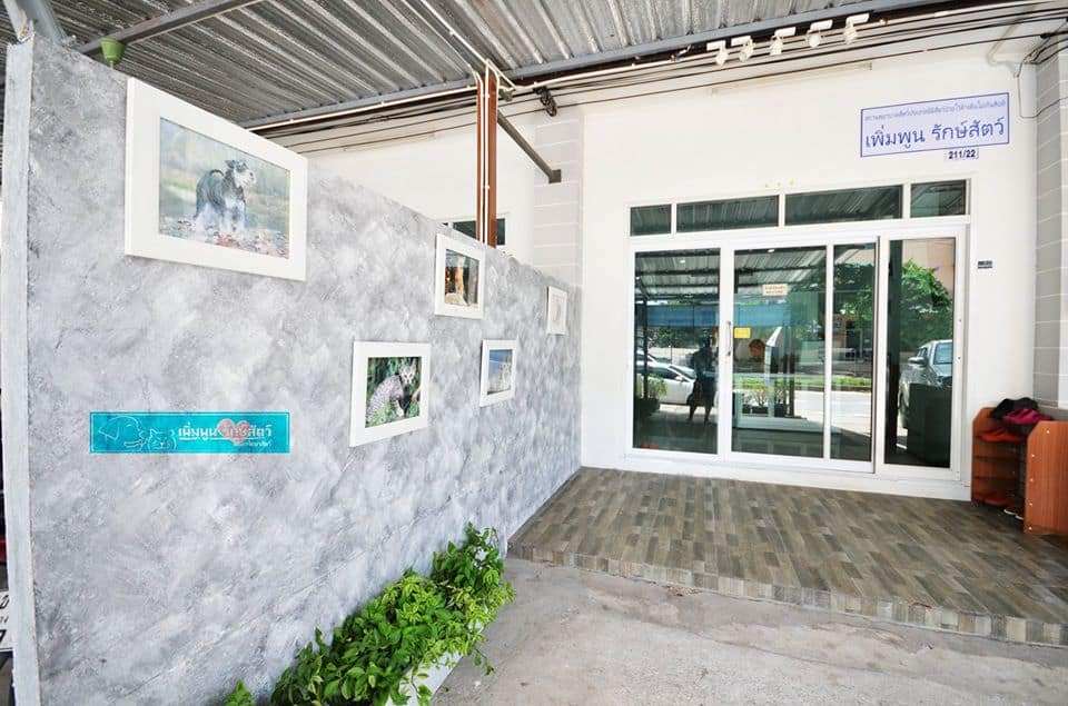 Prempoon Pet Hoapital (โรงพยาบาลสัตว์เพิ่มพูนรักษาสัตว์) 3