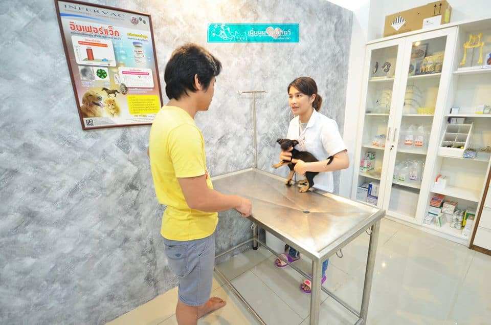 Prempoon Pet Hoapital (โรงพยาบาลสัตว์เพิ่มพูนรักษาสัตว์) 4