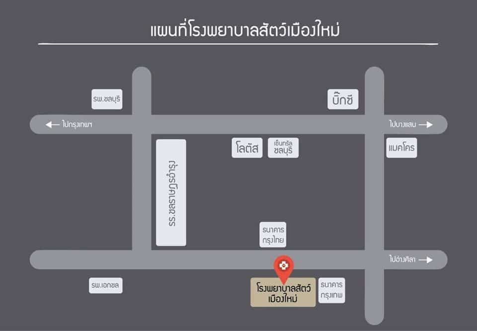 โรงพยาบาลสัตว์เมืองใหม่ Muangmai Pet Hospital 1