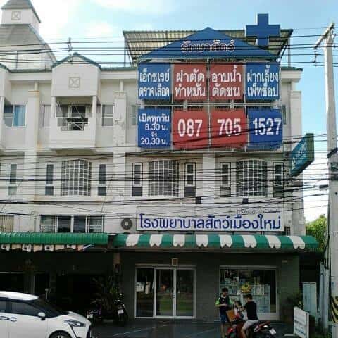 โรงพยาบาลสัตว์เมืองใหม่ Muangmai Pet Hospital 2