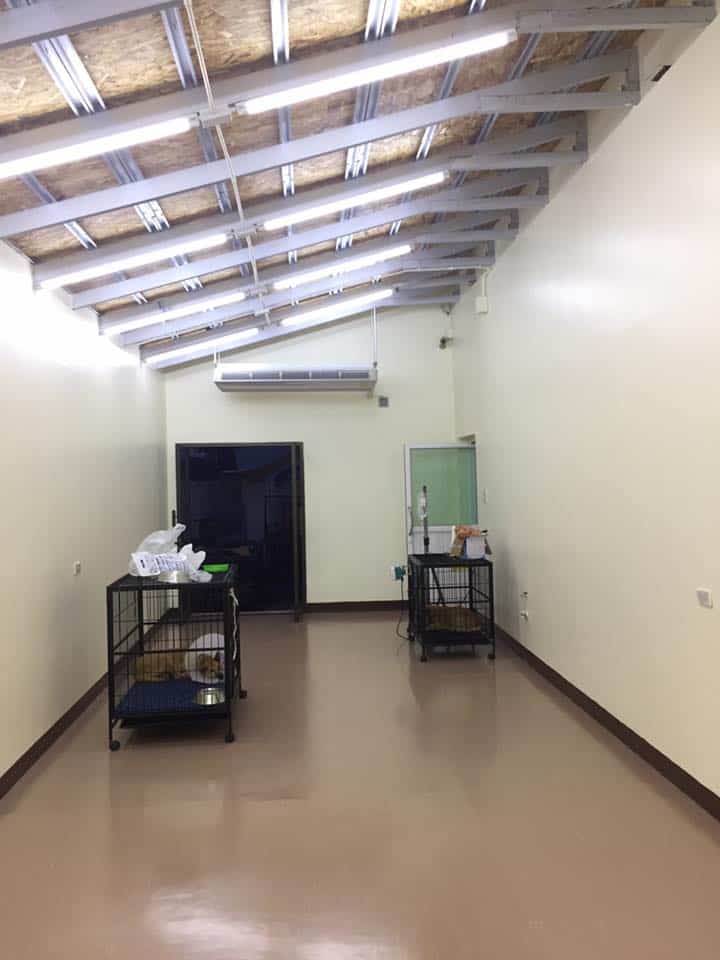Phundhaphat Pet Hospital (โรงพยาบาลสัตว์พันธพัฒน์) 3