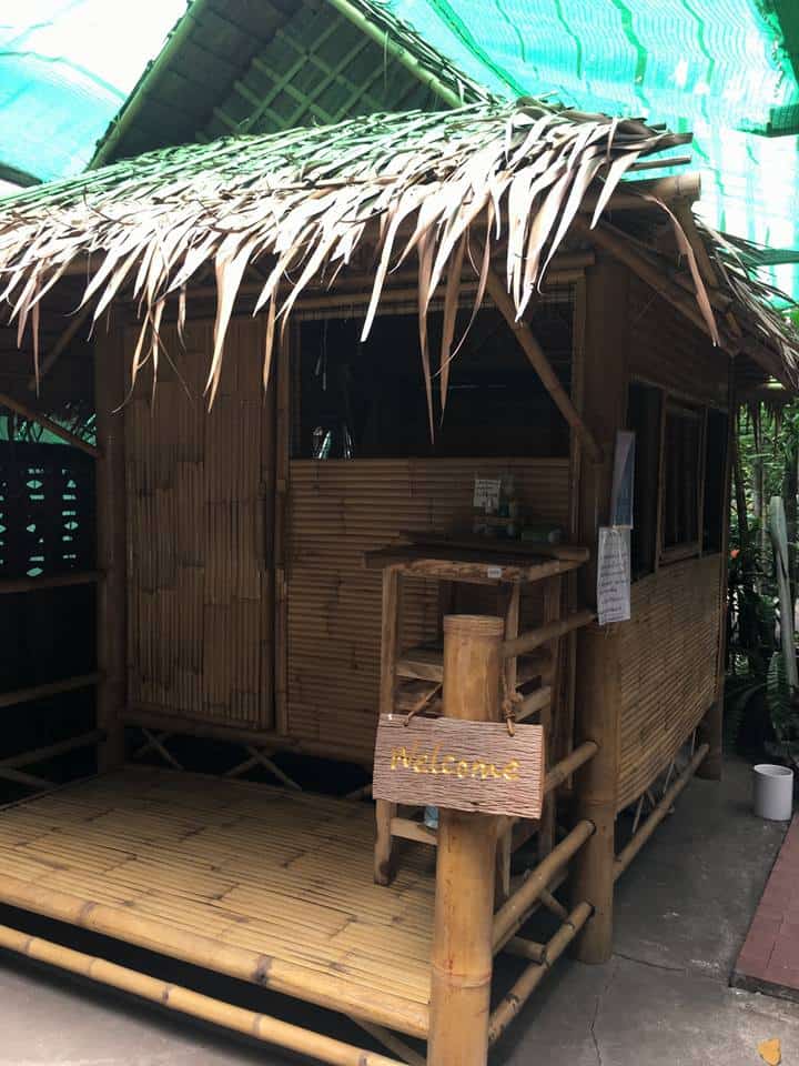 Chico Design Bangkok (Cat Cafe) 1