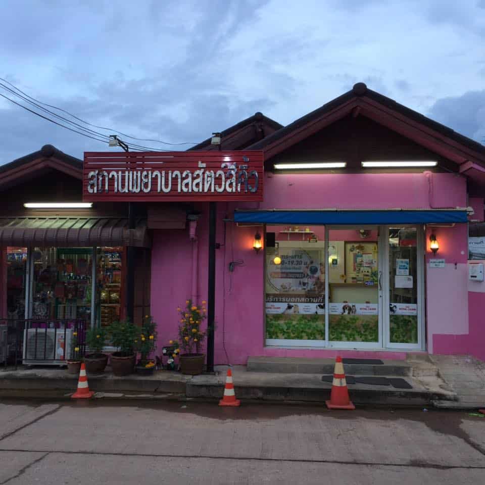 โรงพยาบาลสัตว์สีคิ้ว (นครราชสีมา) 1