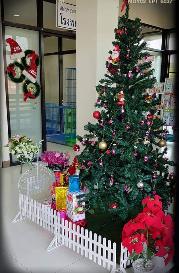 โรงพยาบาลสัตว์ไอแคร์ i Care Animal Hospital 1