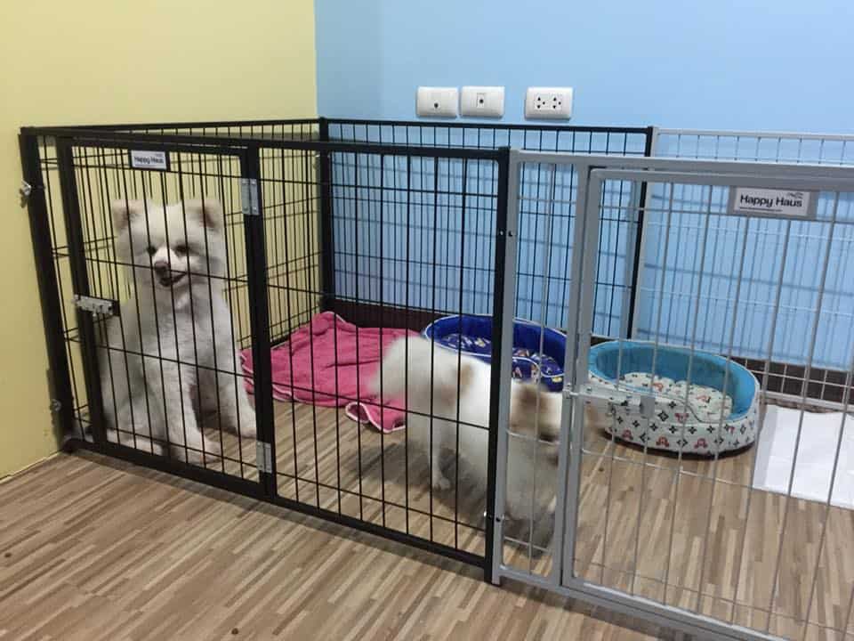 The Pet Ban Pho (เดอะเพ็ทสัตวแพทย์) 1