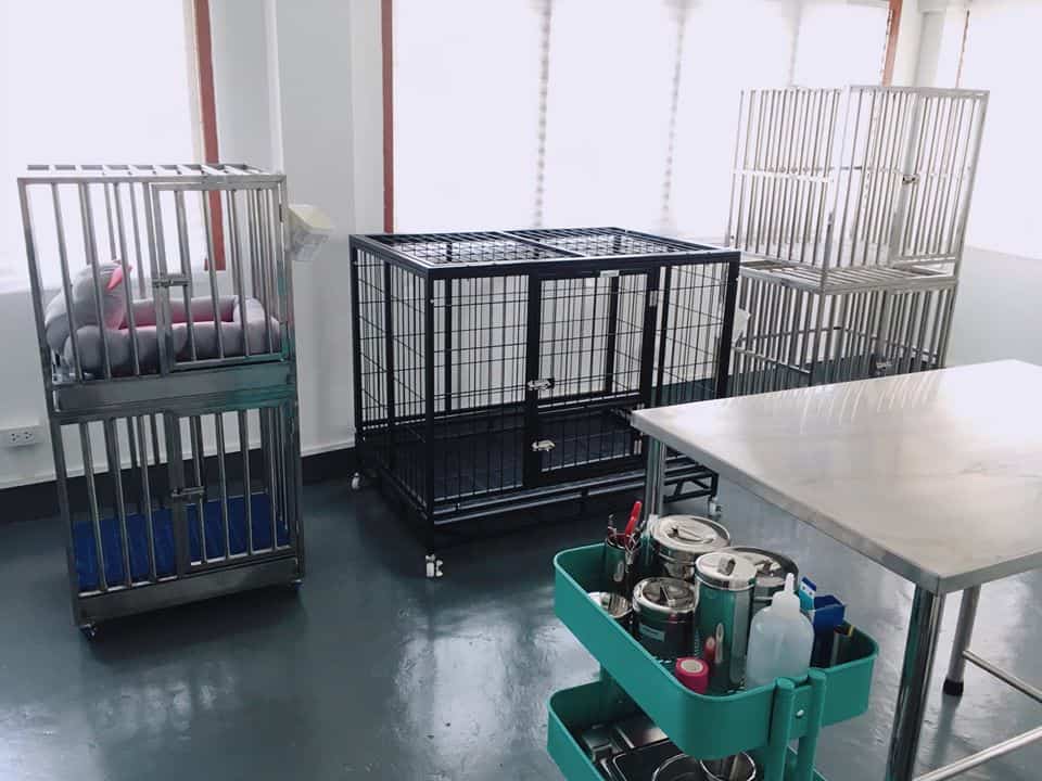 Suksan Animal Hospital (โรงพยาบาลสัตว์สุขศัลย์) 4