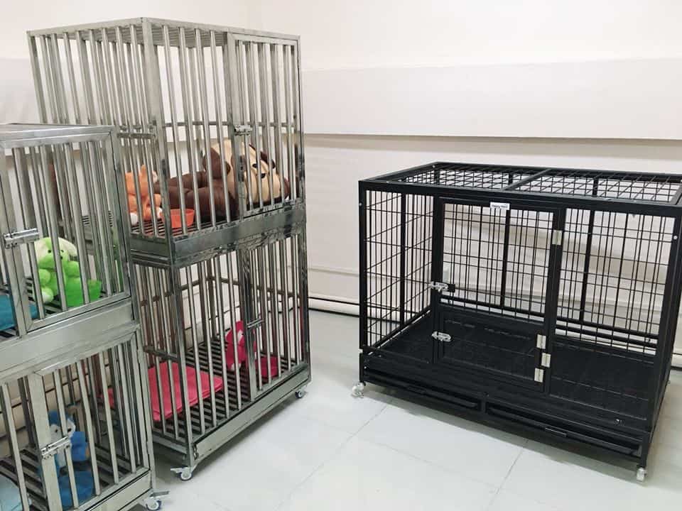Suksan Animal Hospital (โรงพยาบาลสัตว์สุขศัลย์) 5