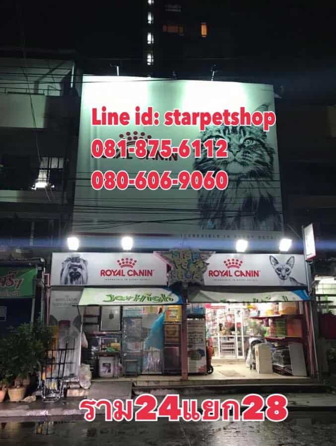 STAR Petshop (สตาร์เพ็ทช็อป) 2