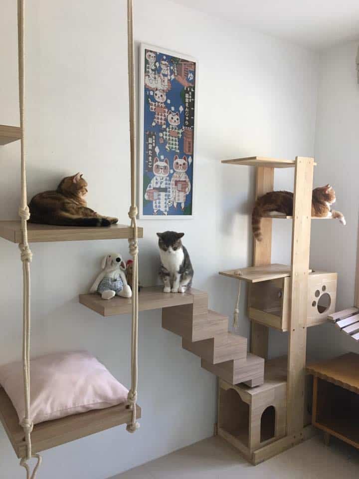 Neko Luxury Cat Hotel (นวลจันทร์) 1