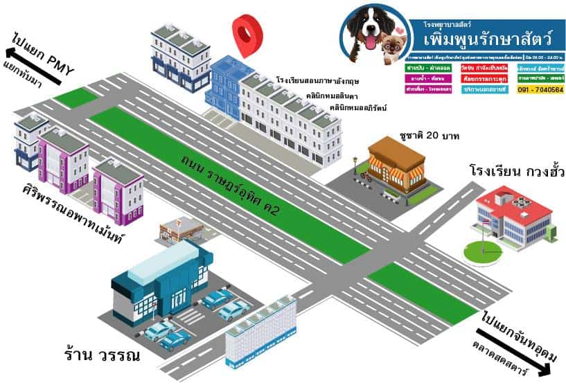 Prempoon Pet Hoapital (โรงพยาบาลสัตว์เพิ่มพูนรักษาสัตว์) 6