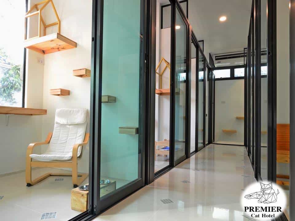 Premier Cat Hotel (โรงแรมแมว พรีเมียร์) 2