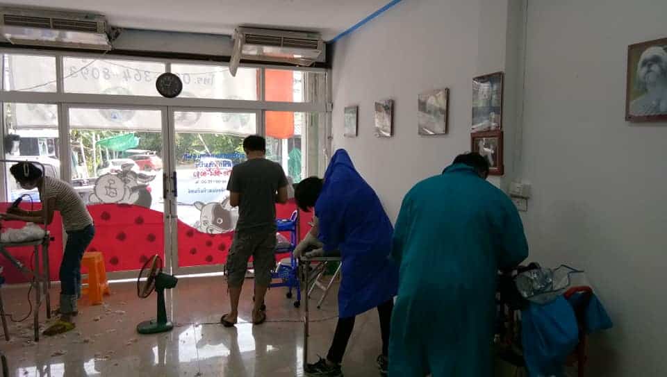 Graphic Grooming (โรงเรียนสอนอาชีพตัดขนสุนัข) 2