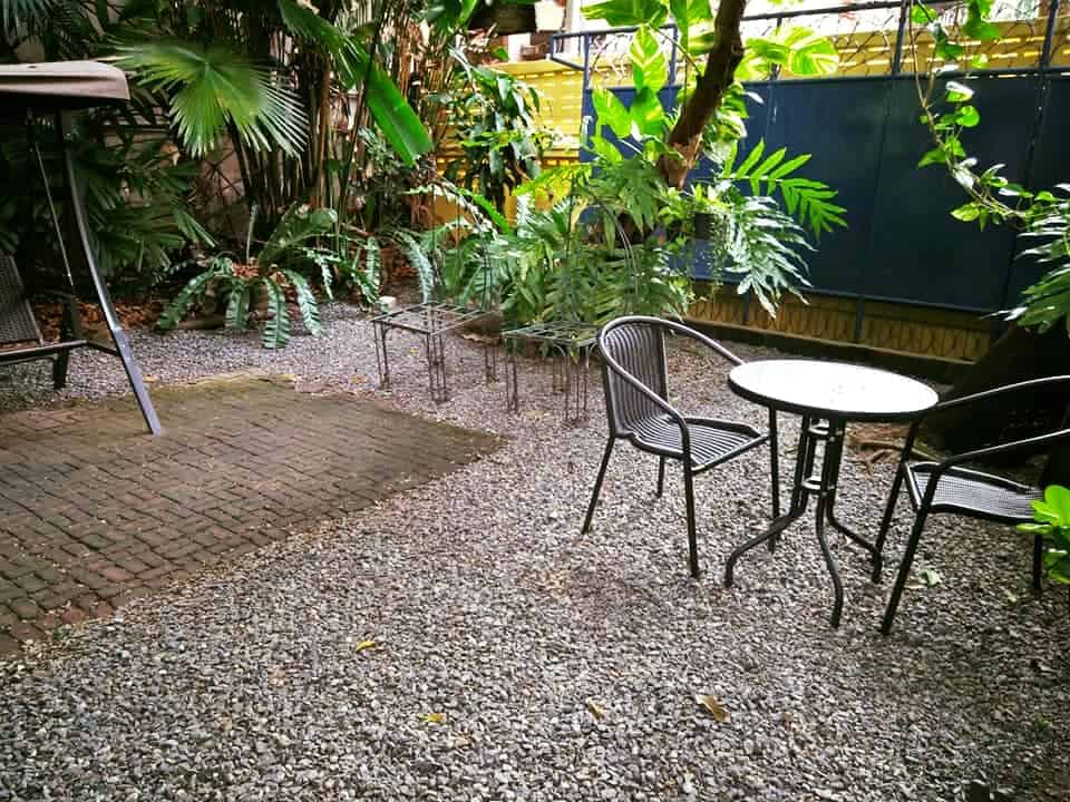 Chico Design Bangkok (Cat Cafe) 7
