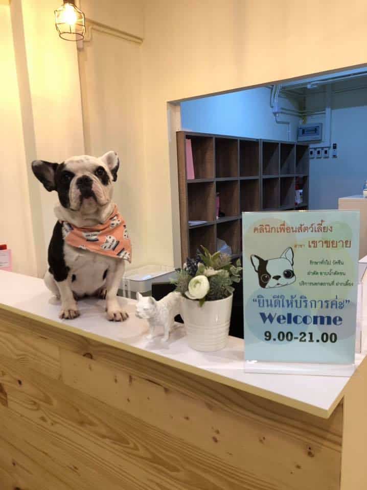 คลินิกเพื่อนสัตว์เลี้ยงศรีราชา Petfriends Animal Clinic 2
