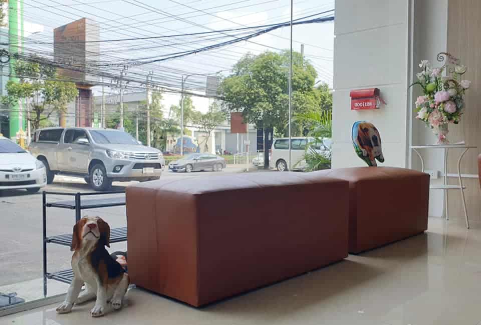 Teimrak Vet Hospital (โรงพยาบาลสัตว์เติมรักษ์) 3