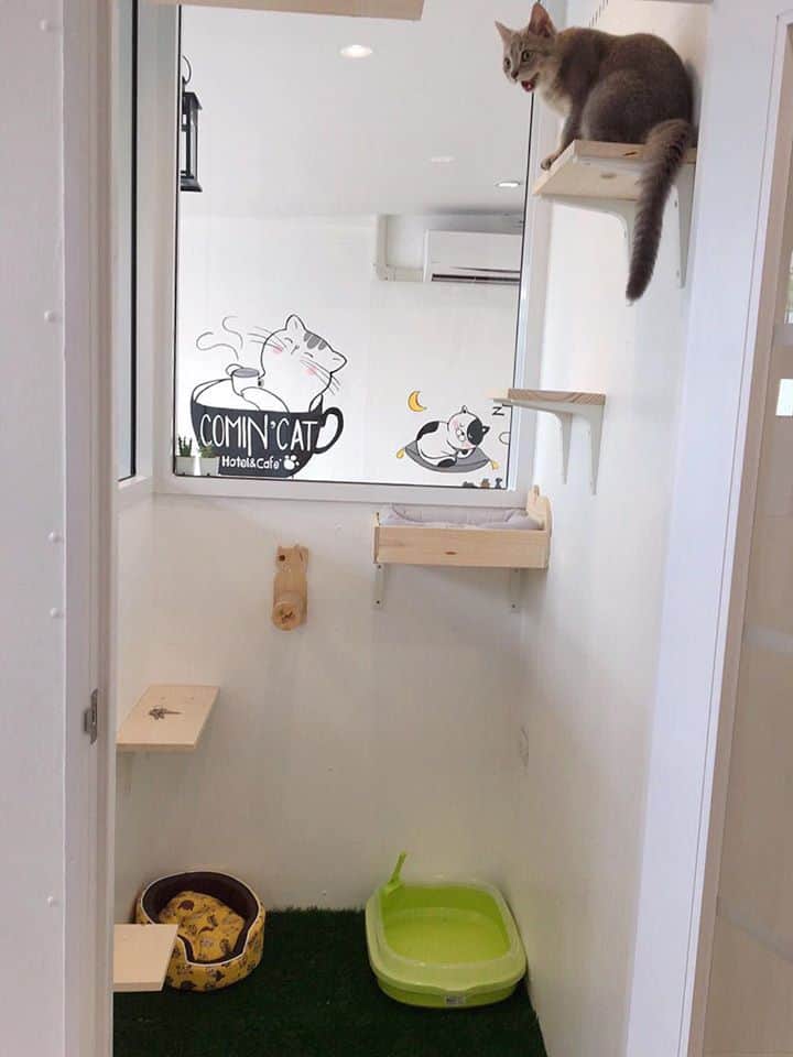 Comin Cat Hotel & Cafe 2