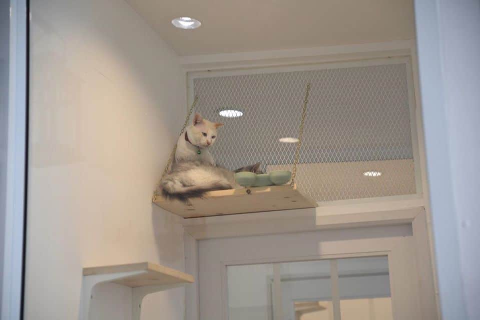 Comin Cat Hotel & Cafe 3